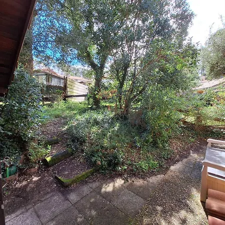 Maison Familiale Avec Terrasse - 6 Pers. - Fr-1-878-51 Moliets-et-Maa
